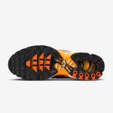 Nike Air Max Plus Tn Syracuse