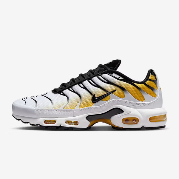 NK AM Plus Tn Varisty Maize