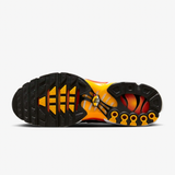 Nike Air Max Plus Tn Rainbow