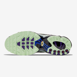 Nike Air Max Plus Tn Future Swoosh