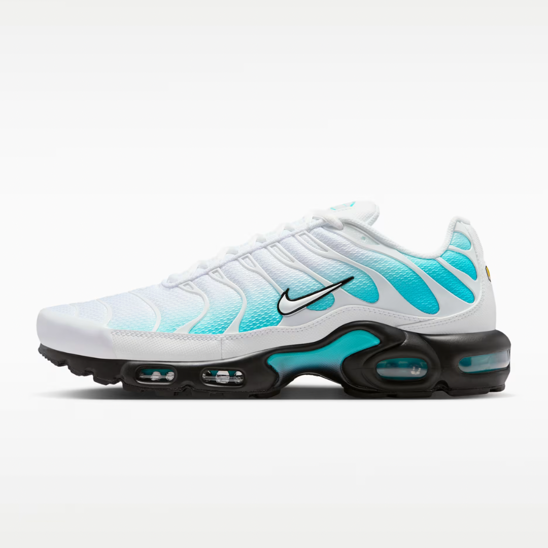 Nike Air Max Plus Tn Frostbite
