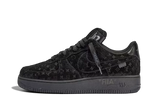Air force L-V
