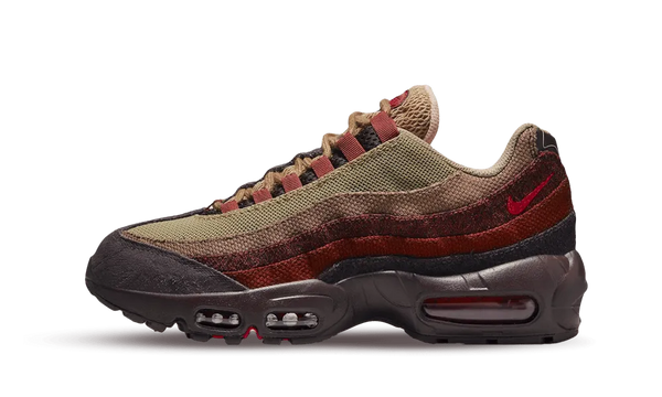 AM 95 Anatomy Of Air Spine