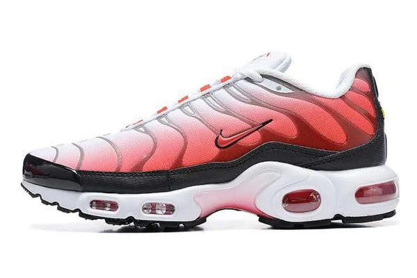 AM PLUS TN ‘FIRE’