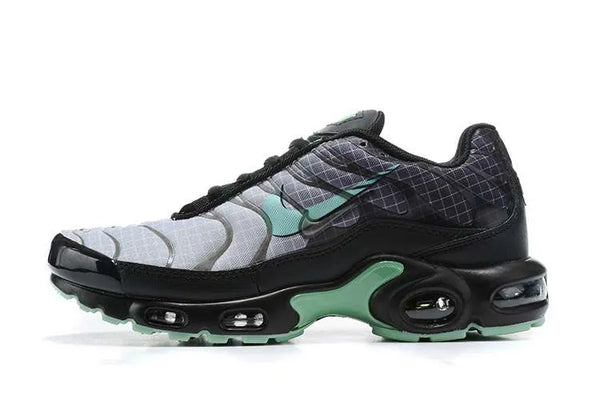 AM PLUS TN ‘GREEN GLOW’