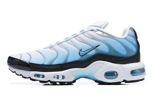 AM PLUS TN ‘ICE’