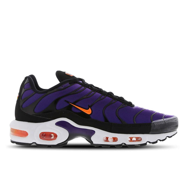 AM PLUS TN ‘Purple